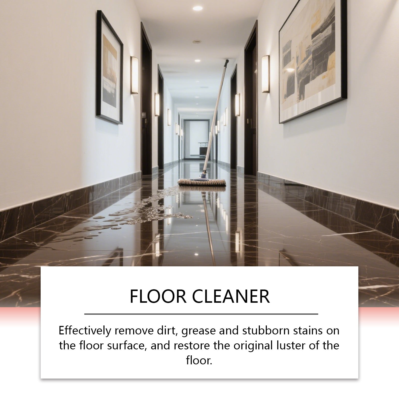 JAKEHOE Floor Cleane