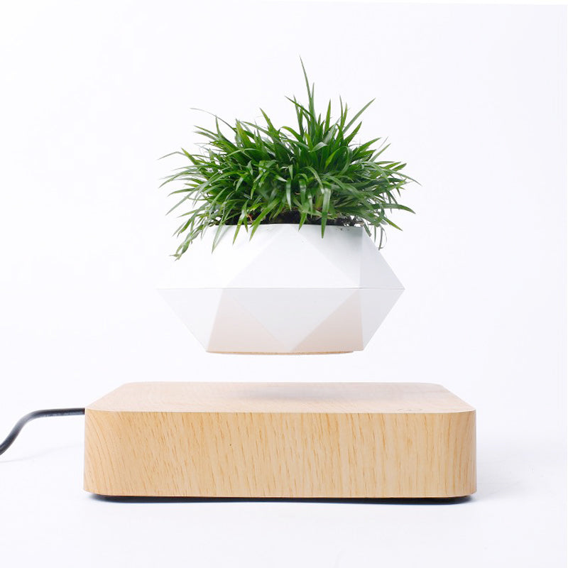 Magnetic Floating Bonsai Pot | 360° Auto Rotation Easy Installation Multi-Plug Fit (8-14 Day Delivery)