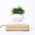 Magnetic Floating Bonsai Pot | 360° Auto Rotation Easy Installation Multi-Plug Fit (8-14 Day Delivery)