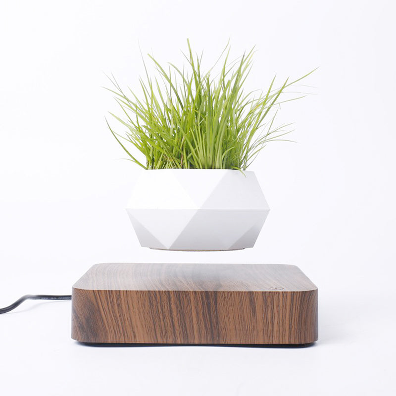 Magnetic Floating Bonsai Pot | 360° Auto Rotation Easy Installation Multi-Plug Fit (8-14 Day Delivery)
